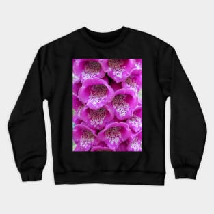 Common Foxglove (Digitalis purpurea) Crewneck Sweatshirt